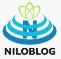 کتاب مجموعه فتاوای شیخ امینی در سایت سلطان العلماء